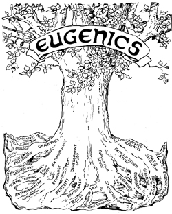 black-eugenics