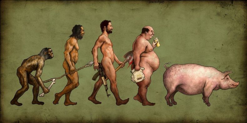 evolution-funny